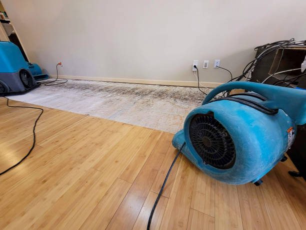Professional Flood Damage Cleanup technician working in Bellevue, ID